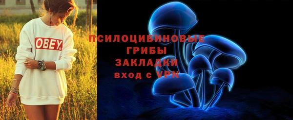 сатива Арсеньев