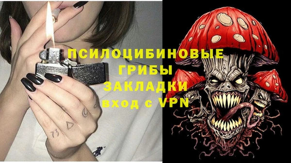 сатива Арсеньев