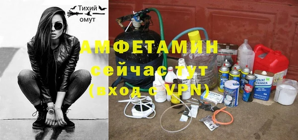 молекула духа Няндома