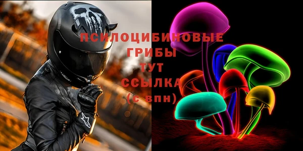 винт Нягань
