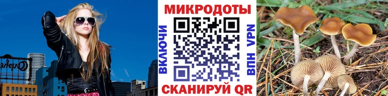 Галлюциногенные грибы мицелий  Углич 